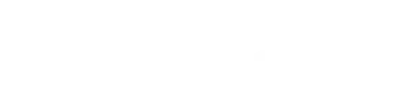 Flexsol Solutions logo white